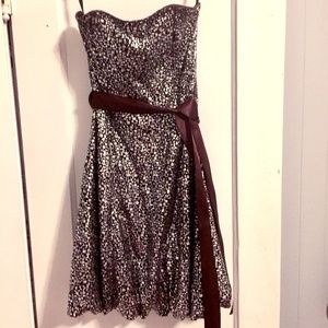 Cache Glitter Sweetheart Dress with Ribbon Belt